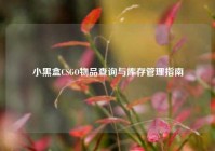 小黑盒CSGO物品查询与库存管理指南