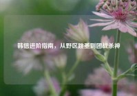 韩信进阶指南，从野区跳蚤到团战杀神