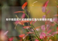 和平精英照片滤镜模板位置与使用全攻略