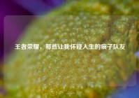 王者荣耀，那些让我怀疑人生的疯子队友
