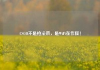 CSGO不是枪法菜，是WiFi在作怪！