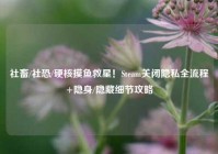 社畜/社恐/硬核摸鱼救星！Steam关闭隐私全流程+隐身/隐藏细节攻略