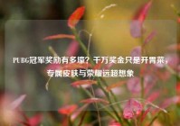 PUBG冠军奖励有多壕？千万奖金只是开胃菜，专属皮肤与荣耀远超想象