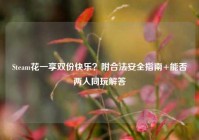 Steam花一享双份快乐？附合法安全指南+能否两人同玩解答