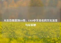 从反恐精英到GO哥，CSGO中文命名的文化流变与玩家梗