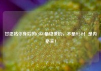 甘愿站你身后的CSGO最稳僚机，不是M249！是内格夫！
