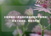 王者荣耀路人单排真的是渡劫地狱？别甩锅！踩雷才是症结，单排当然能