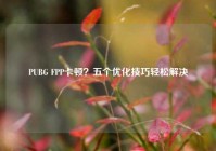 PUBG FPP卡顿？五个优化技巧轻松解决