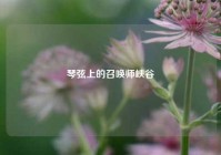 琴弦上的召唤师峡谷