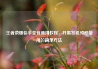 王者荣耀快手变音通用教程，开黑发视频都能用的简单方法