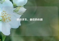 绝地求生，最后的心跳