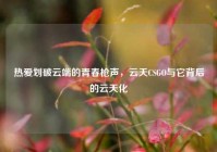 热爱划破云端的青春枪声，云天CSGO与它背后的云天化