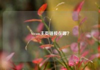 Steam主页链接在哪？