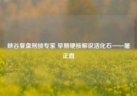 峡谷复盘刑侦专家 早期硬核解说活化石——屠正直