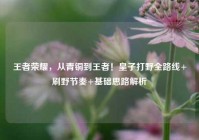 王者荣耀，从青铜到王者！皇子打野全路线+刷野节奏+基础思路解析