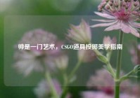 帅是一门艺术，CSGO道具投掷美学指南