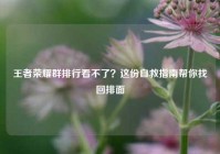 王者荣耀群排行看不了？这份自救指南帮你找回排面