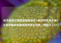 抢先解锁云缨新英雄姐妹花+射手野区再平衡！王者荣耀体验服保姆级报名攻略（附官方入口）