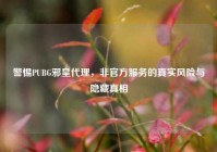 警惕PUBG邪皇代理，非官方服务的真实风险与隐藏真相