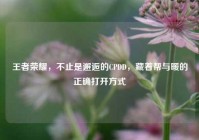 王者荣耀，不止是邂逅的CPDD，藏着帮与暖的正确打开方式