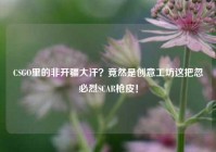 CSGO里的非开疆大汗？竟然是创意工坊这把忽必烈SCAR枪皮！