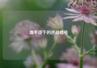 血手印下的逆战暗号