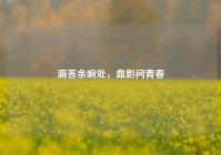 滴答余响处，血影问青春