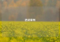 逆战审判