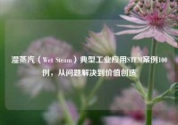 湿蒸汽（Wet Steam）典型工业应用STEM案例100例，从问题解决到价值创造
