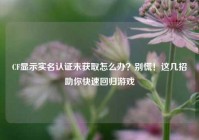 CF显示实名认证未获取怎么办？别慌！这几招助你快速回归游戏