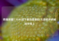 燃爆屏幕！PUBG线下赛热血重归 久违枪声呐喊同步线上