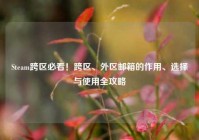 Steam跨区必看！跨区、外区邮箱的作用、选择与使用全攻略