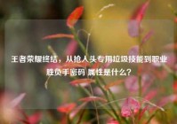 王者荣耀终结，从抢人头专用垃圾技能到职业胜负手密码 属性是什么？
