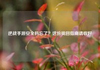 逆战手游安全码忘了？这份找回指南请收好