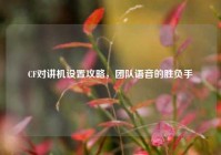 CF对讲机设置攻略，团队语音的胜负手