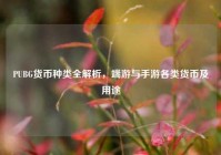PUBG货币种类全解析，端游与手游各类货币及用途