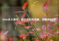 PUBG永久黑号，捷径背后的深渊，你赌得起吗？