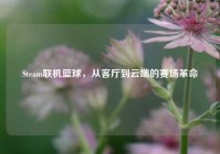 Steam联机篮球，从客厅到云端的赛场革命