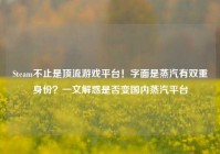 Steam不止是顶流游戏平台！字面是蒸汽有双重身份？一文解惑是否变国内蒸汽平台