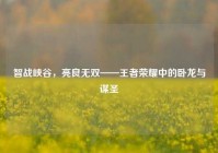 智战峡谷，亮良无双——王者荣耀中的卧龙与谋圣