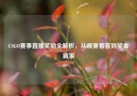 CSGO赛事直播奖励全解析，从观赛看客到奖金赢家