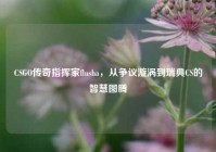 CSGO传奇指挥家flusha，从争议漩涡到瑞典CS的智慧图腾