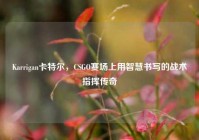 Karrigan卡特尔，CSGO赛场上用智慧书写的战术指挥传奇