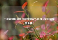 王者荣耀短腿鲁班藏成刺客？隐身+实用骚操作全懂！
