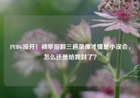 PUBG没开！被举报翻三遍录像才懂是小误会，怎么还是给我封了？