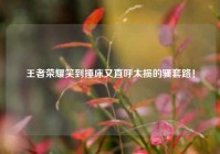 王者荣耀笑到捶床又直呼太损的骚套路！