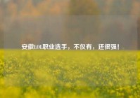 安徽LOL职业选手，不仅有，还很强！