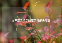 CF不显示汉字的原因与解决方法