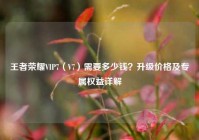 王者荣耀VIP7（V7）需要多少钱？升级价格及专属权益详解
