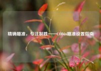 精确瞄准，专注制胜——COD16瞄准设置指南